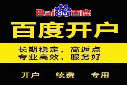 百度推广运营成功故事：品牌与效果的双重胜利